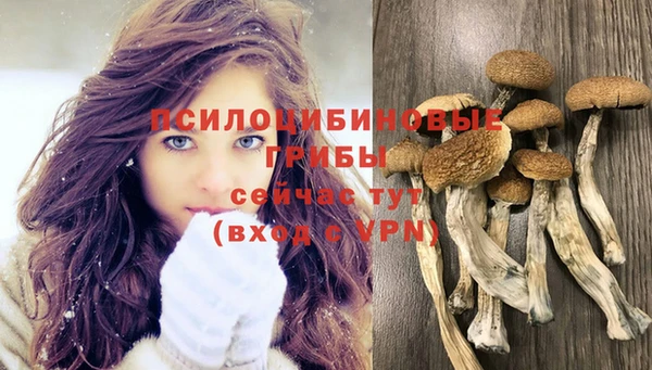 соль курить ск Кинешма